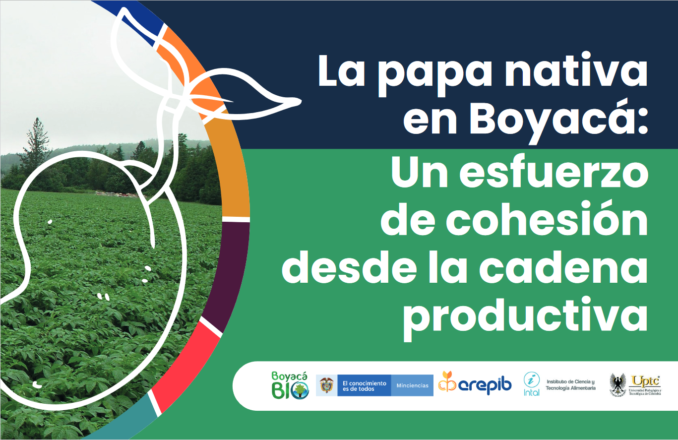 CREPIB. Papa nativa Boyacá